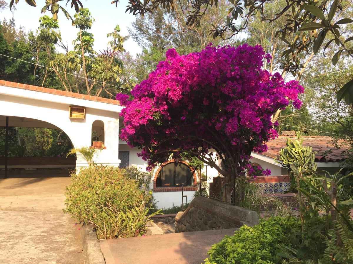 Villas Bellavista Cuernavaca Bagian luar foto