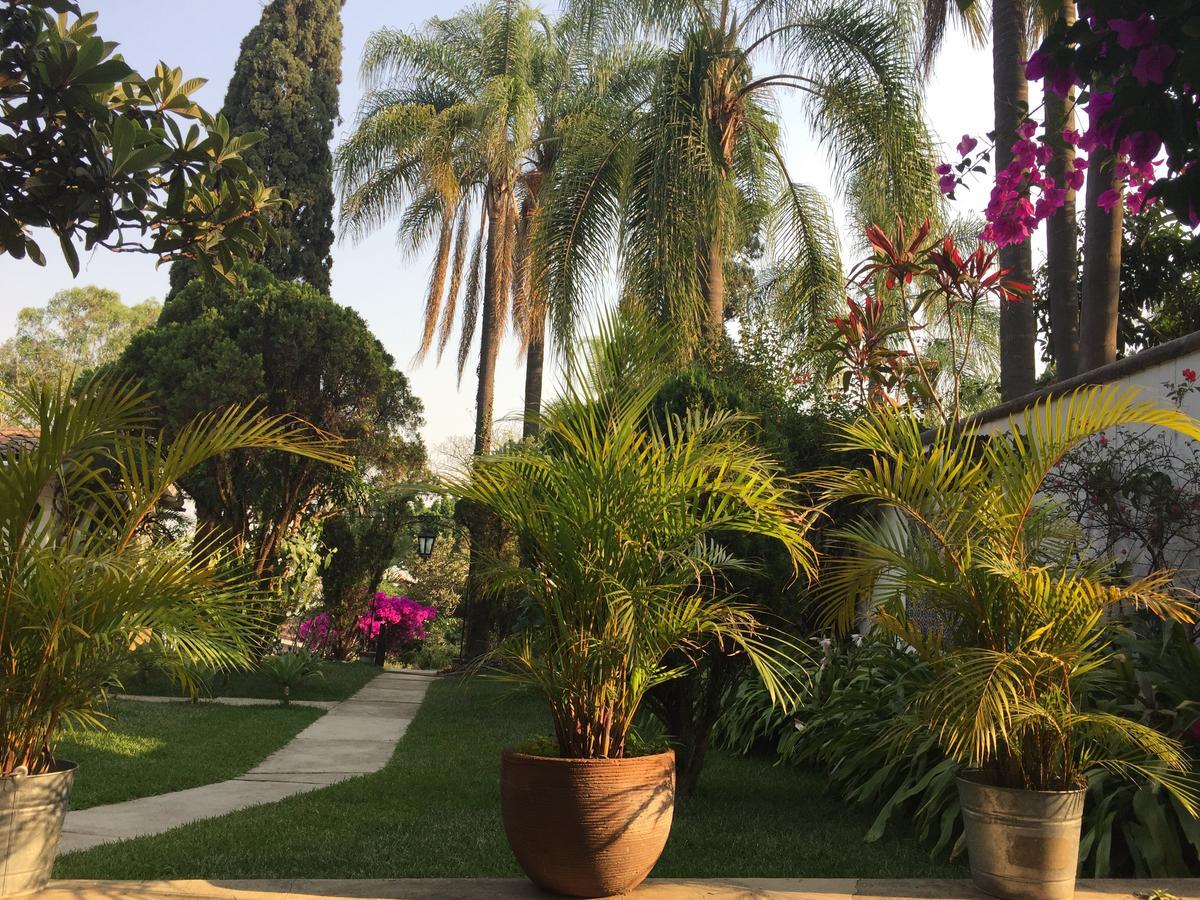 Villas Bellavista Cuernavaca Bagian luar foto