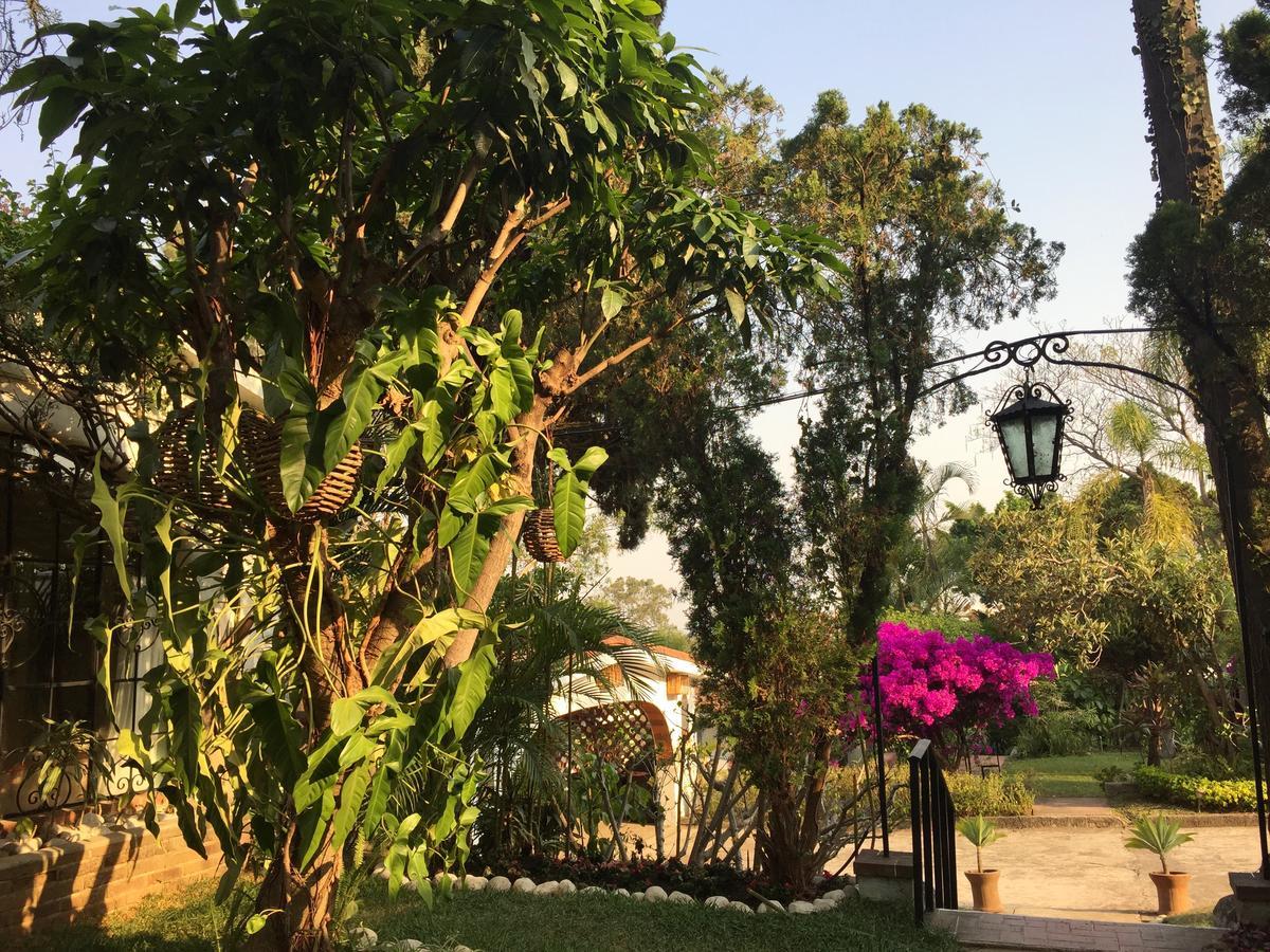 Villas Bellavista Cuernavaca Bagian luar foto